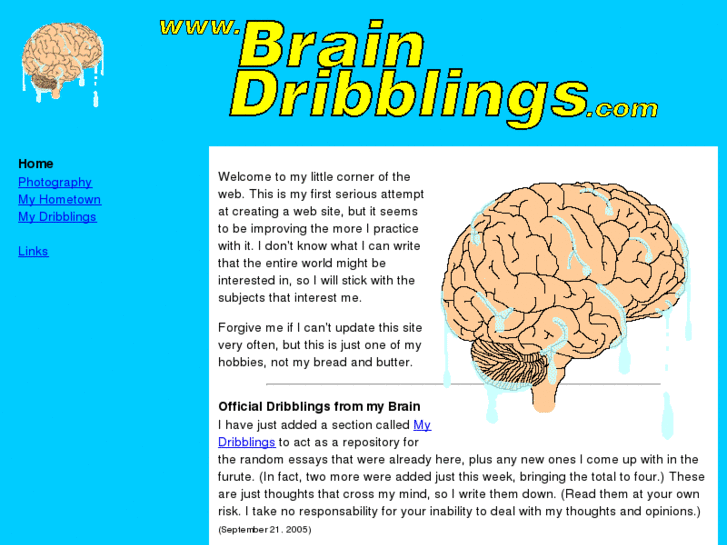 www.braindribblings.com