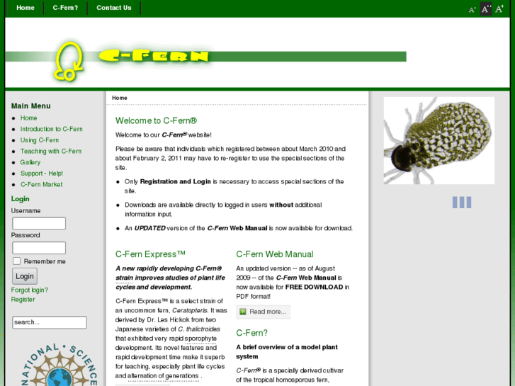 www.c-fern.net
