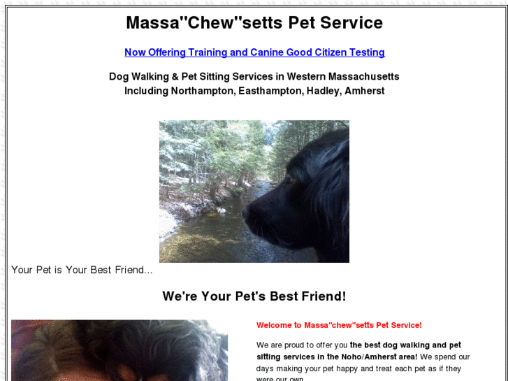 www.massachewsettspetservice.com