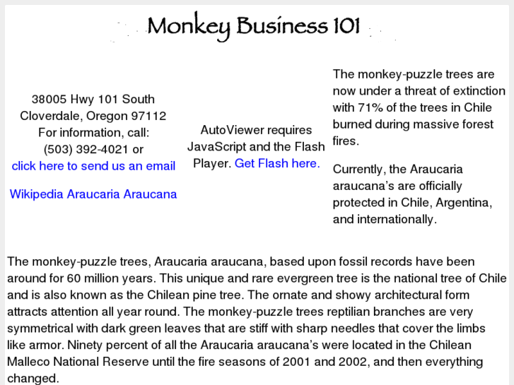 www.monkeybusiness101-nursery.com