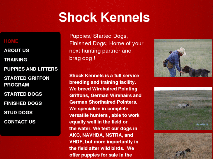 www.shockkennels.com