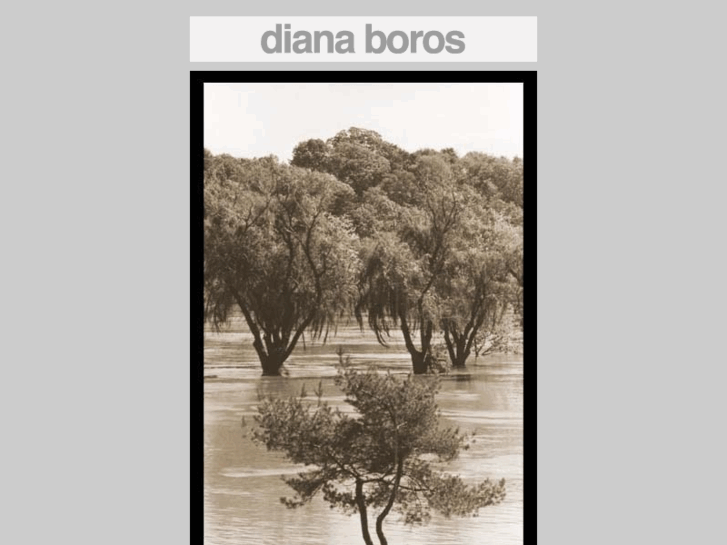 www.dianaborosart.com