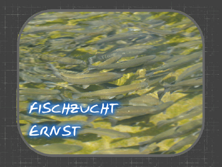 www.fischzucht-ernst.com