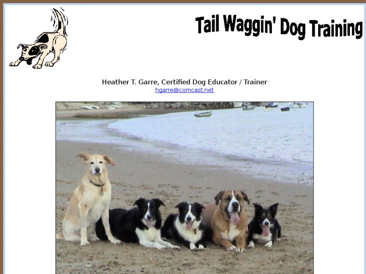 www.tailwaggindogtraining.com