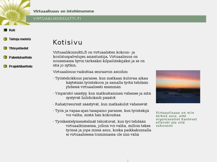 www.virtuaalikonsultti.fi