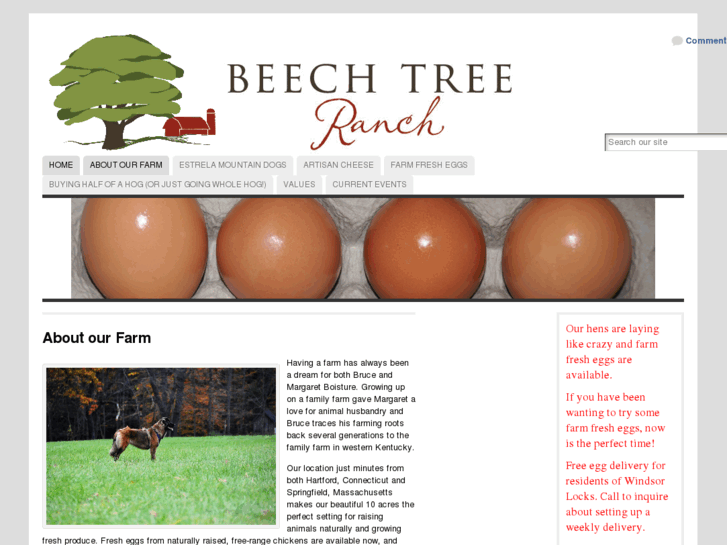 www.beechtreeranch.com