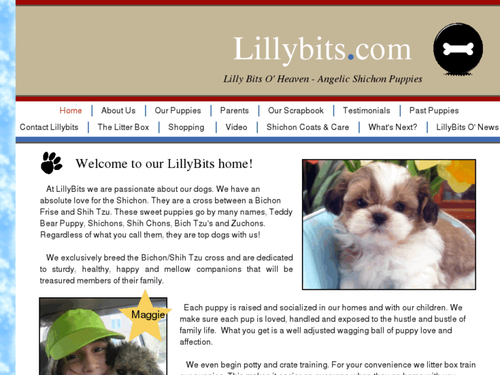 www.lillybits.com