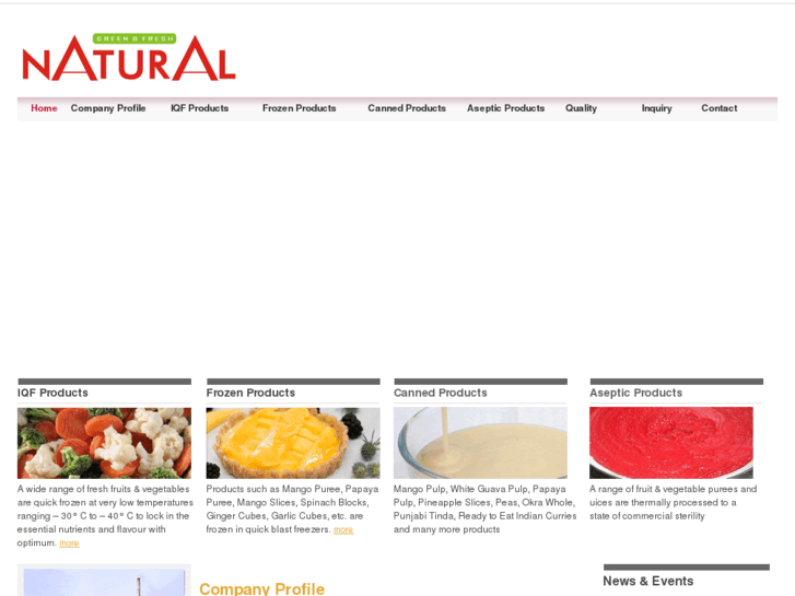 www.naturalfrozenfood.com