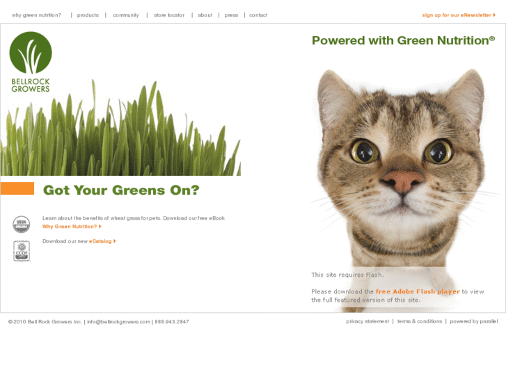 www.petgreensgrass.com