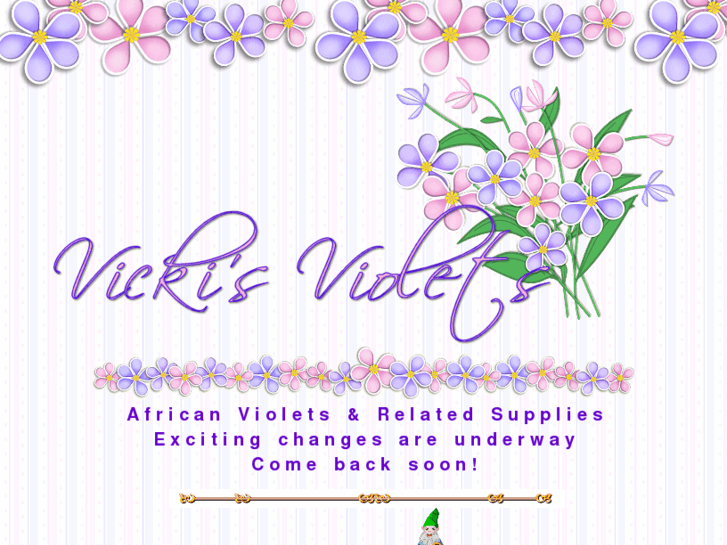 www.vickisviolets.com