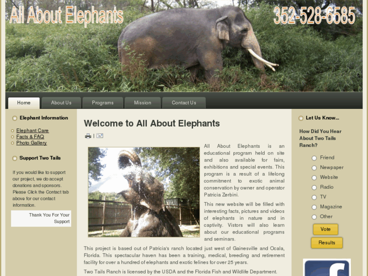 www.allaboutelephants.com