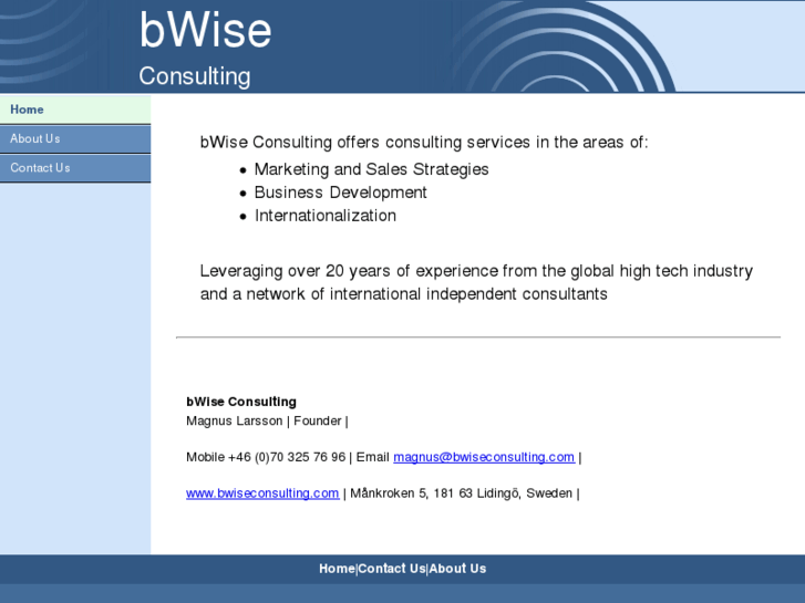 www.bwiseconsulting.com