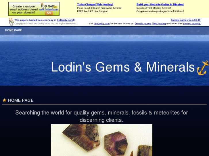 www.lodins.com