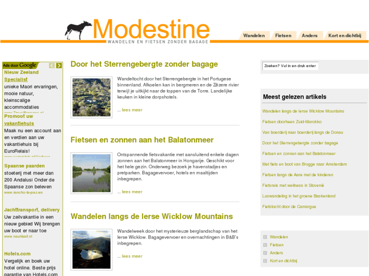 www.modestine.org