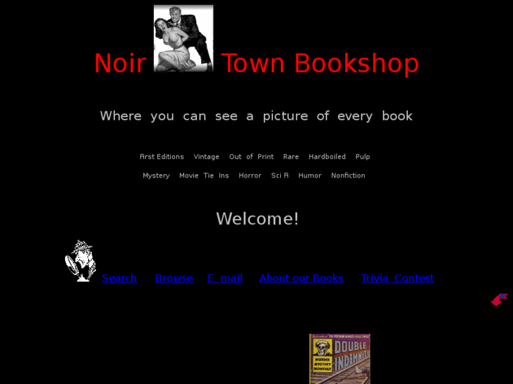 www.noirtownbookshop.com