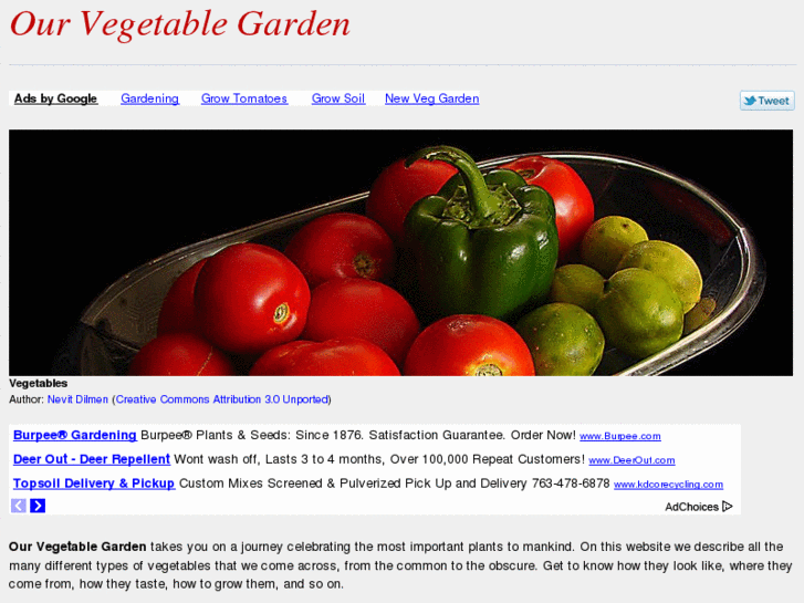 www.our-vegetable-garden.com