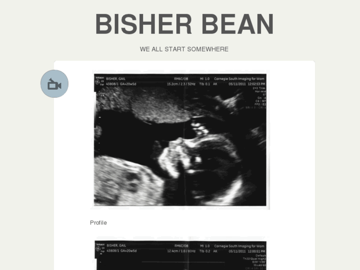 www.bisherbean.com