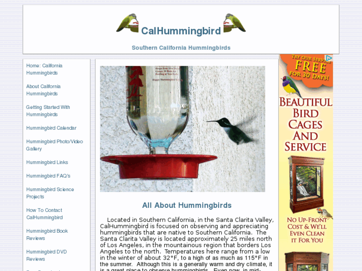 www.calhummingbird.com