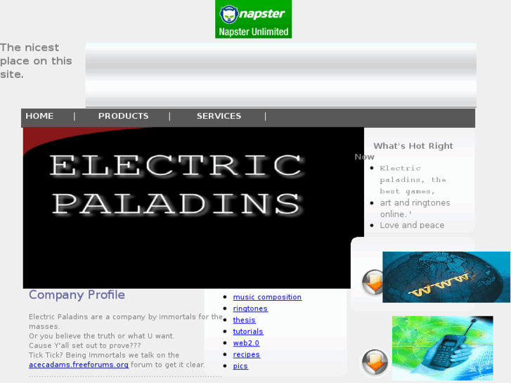 www.electricpaladins.org