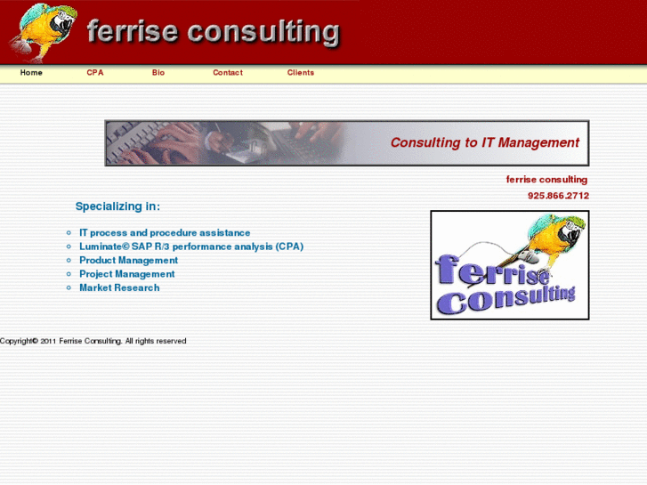 www.ferriseconsulting.com