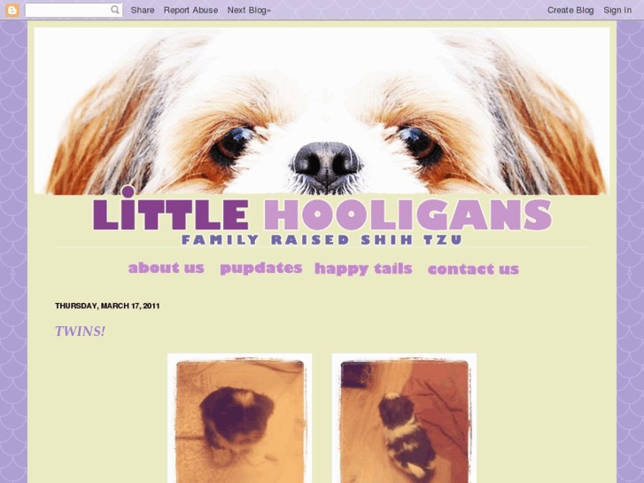 www.littlehooliganshihtzu.com