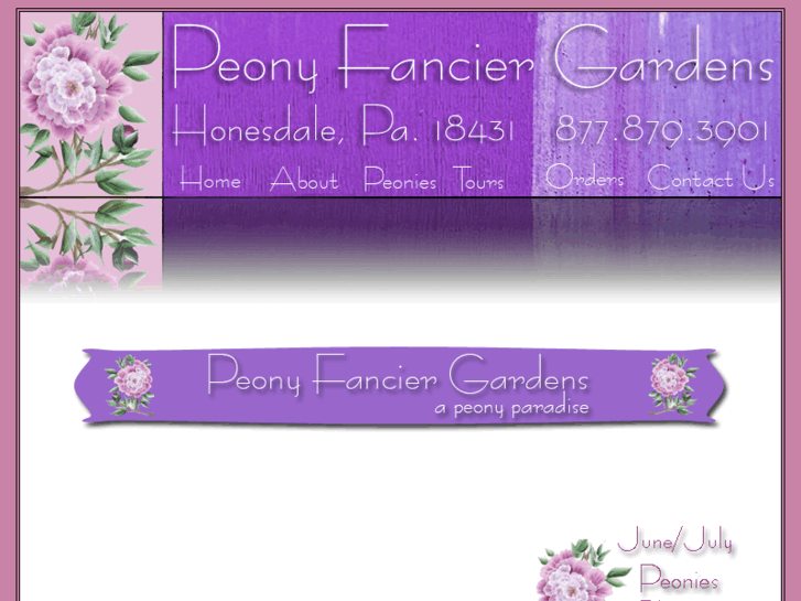 www.peonyfanciergardens.com