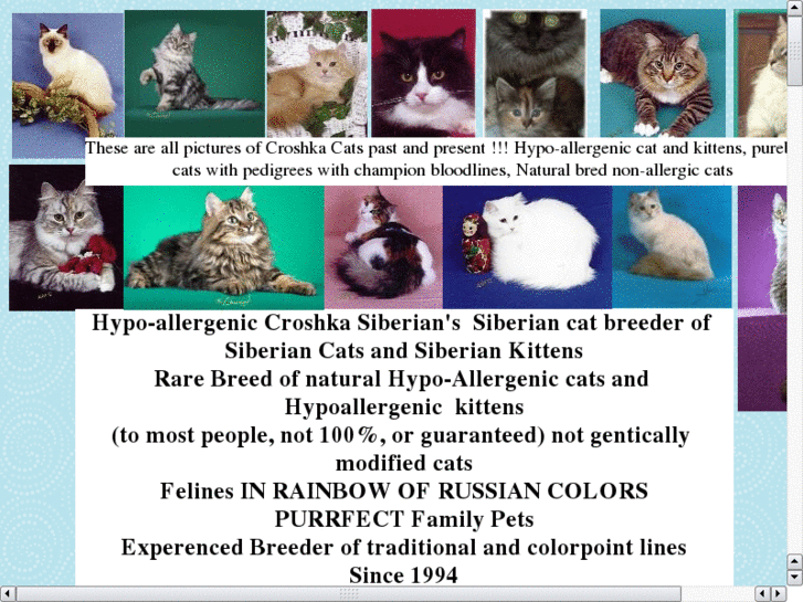 www.siberian-catbreeder.net