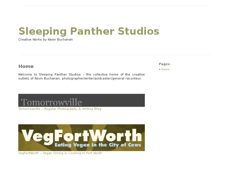 www.sleepingpantherstudios.com