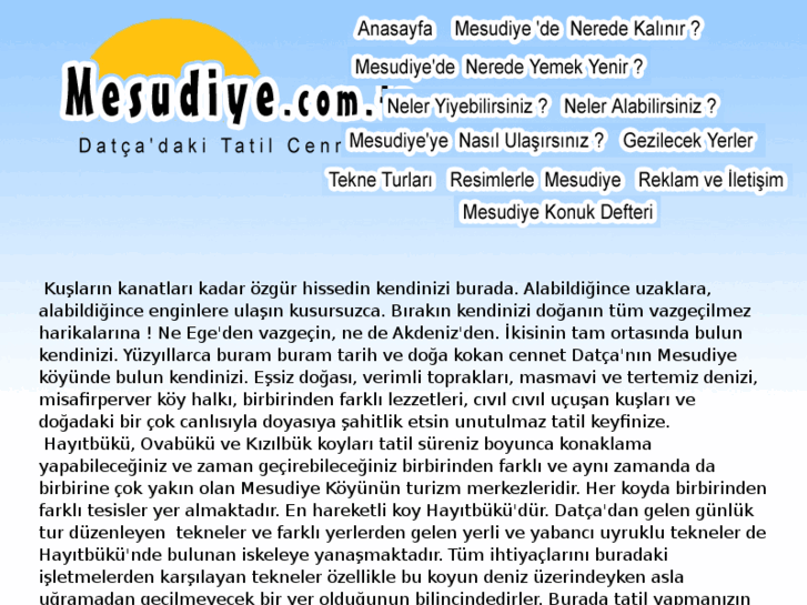 www.mesudiyetatil.com