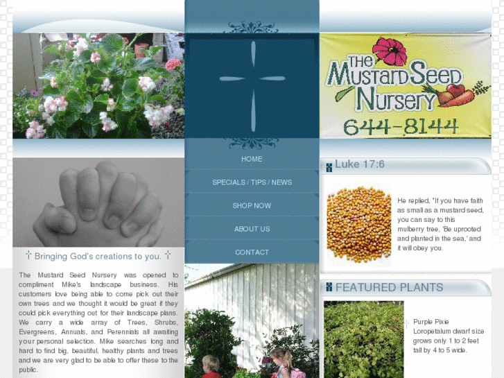 www.mustardseednursery.com