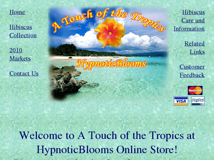 www.atouchofthetropics.com