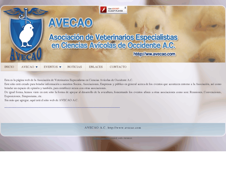 www.avecao.com