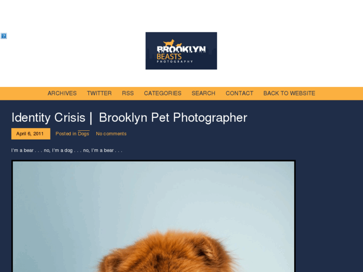 www.brooklynbeasts.com