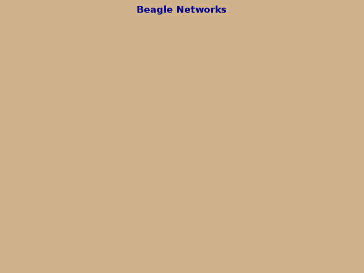 www.etherbeagle.com
