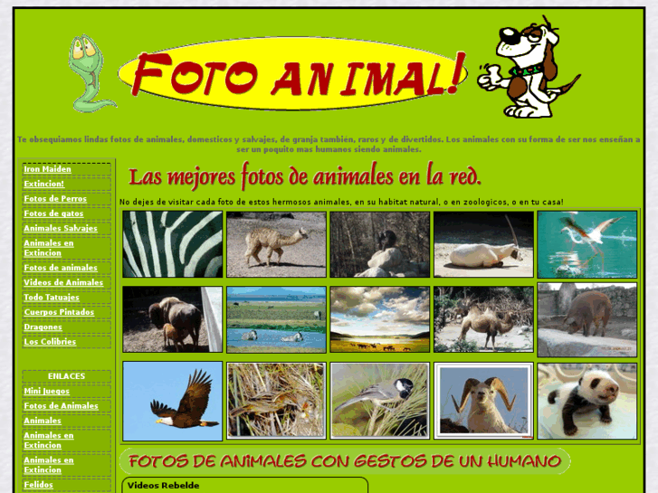 www.fotoanimal.com.ar