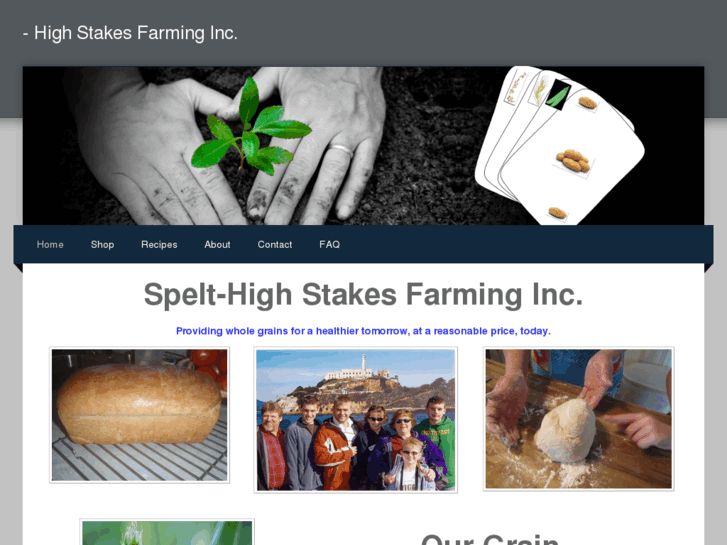 www.highstakesfarming.com