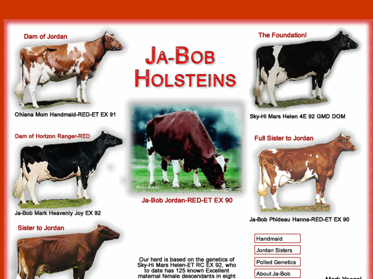 www.ja-bobholsteins.com