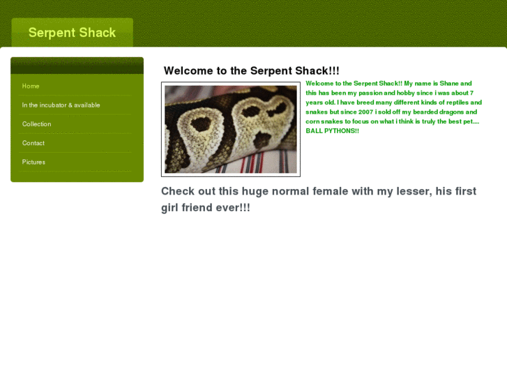 www.serpentshack.com