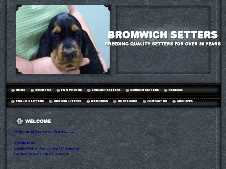 www.bromwichsetters.com