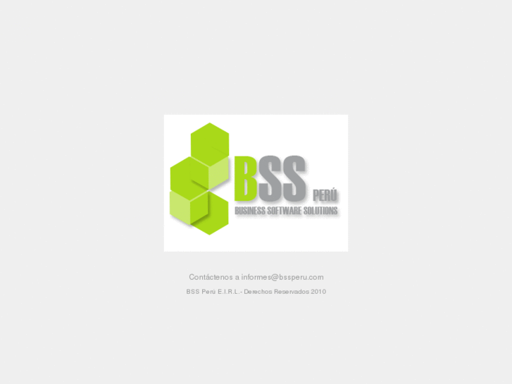 www.bssperu.com