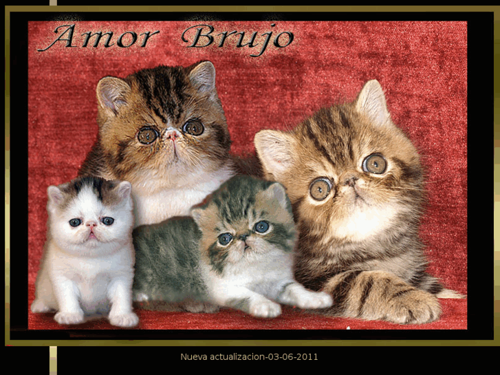 www.delamorbrujo.com