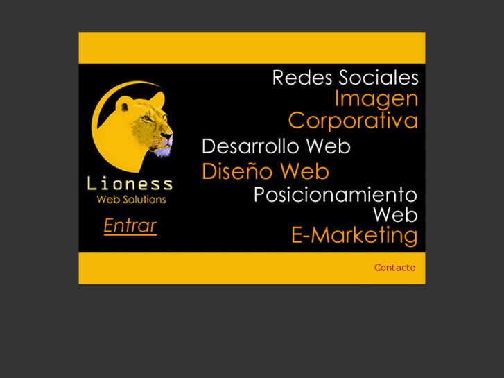 www.lionesswebsolutions.com