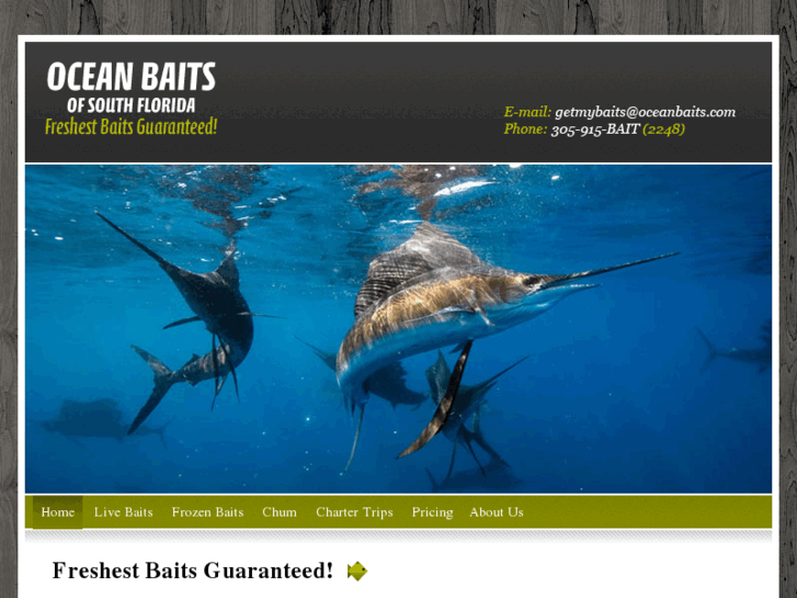 www.oceanbaits.com