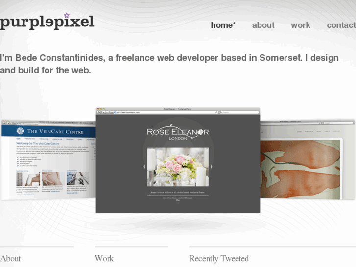 www.purplepixel.net