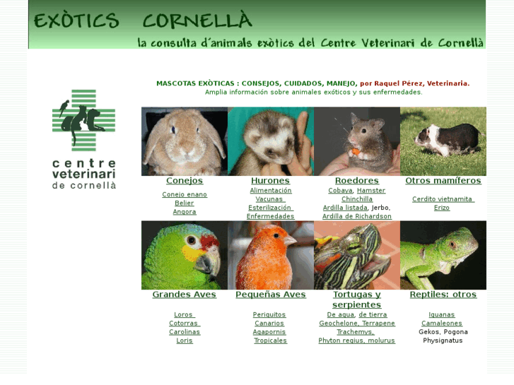 www.veterinarioexoticos.com