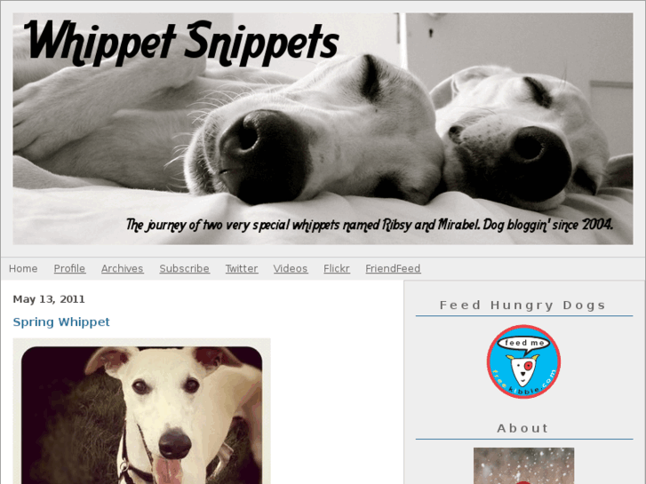 www.whippetsnippets.com