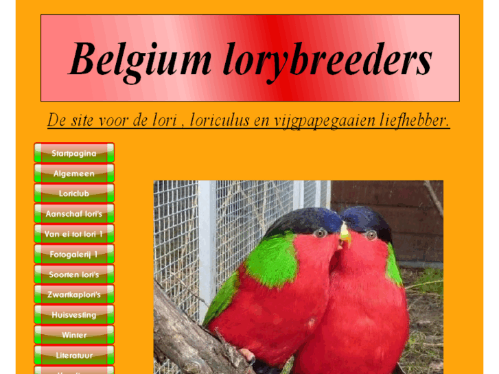 www.belgiumlorybreeders.com