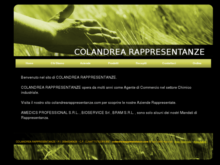 www.colandrearappresentanze.com