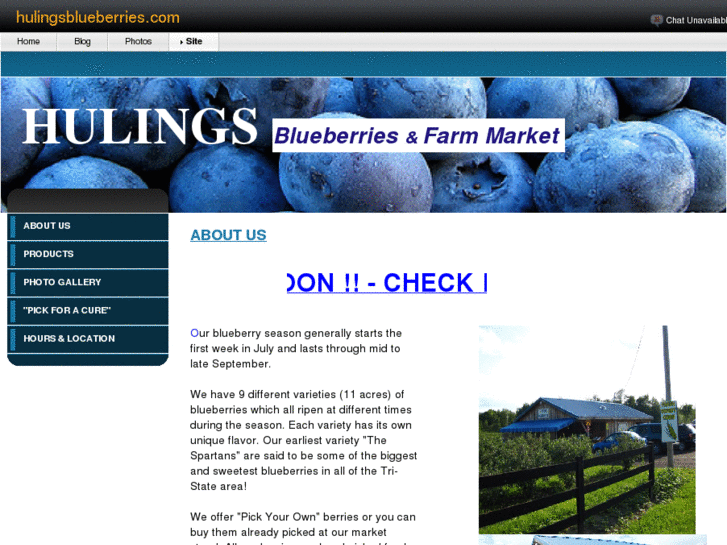 www.hulingsblueberries.com