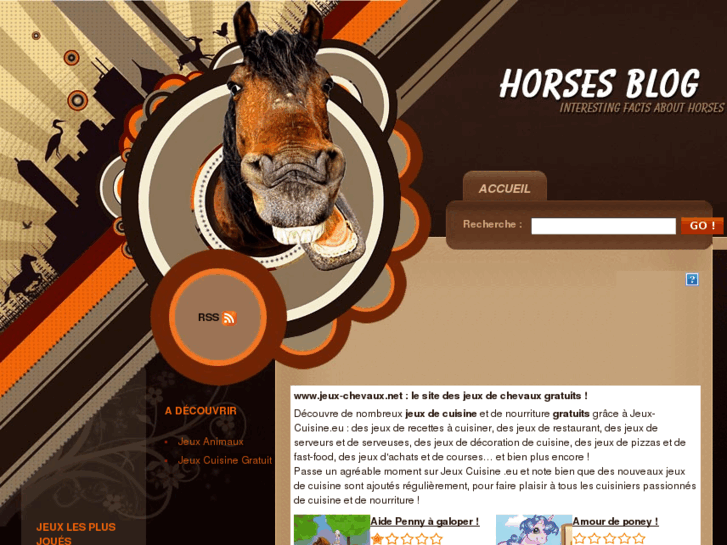 www.jeux-chevaux.net